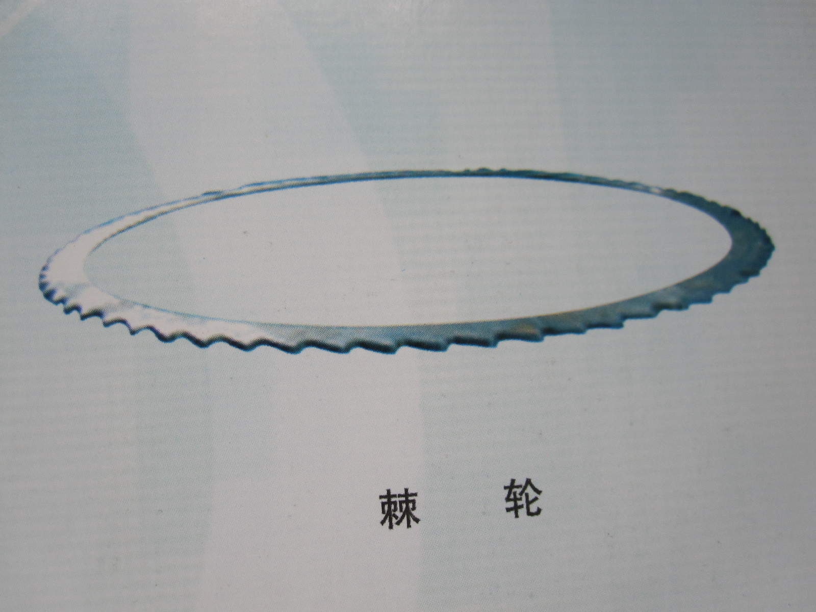 05016The ratchet wheel